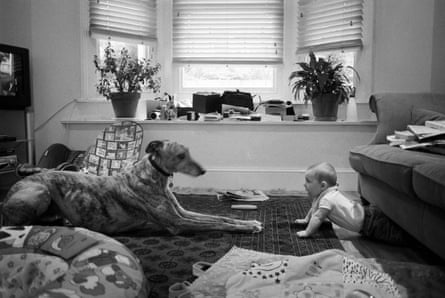 A photograph of Billingham’s son Walter, with Ted the dog, taken around 2007.