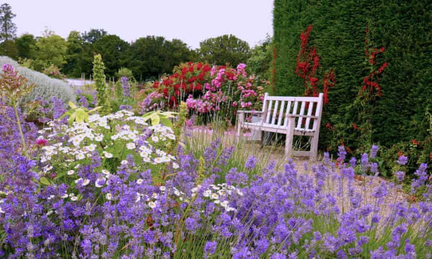 Scented garden at Burton Agnes Hall.