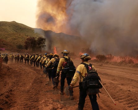 a line of firefighters battling a brush fire