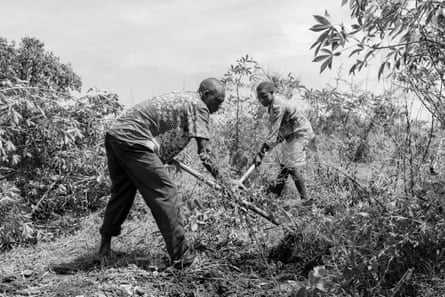 people work in a field