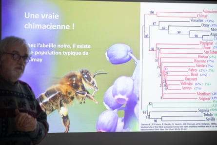 A man standing in front of a projected slide showing information about dark bees.