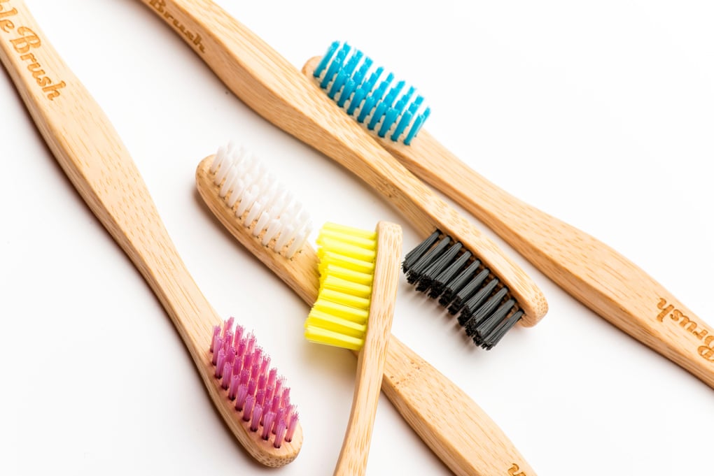 biodegradable toothbrushes with bamboo handles