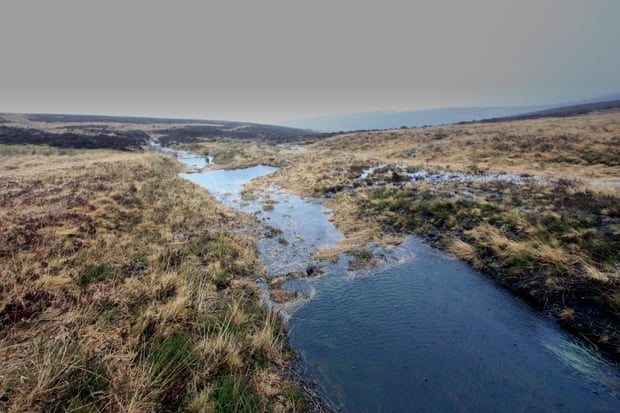 Holnicote Estate in Exmoor, Somerset, has several natural flood defences, which helped protect the village of Bossington.