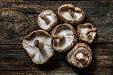Six shiitake mushrooms arranged on a rustic wooden background.