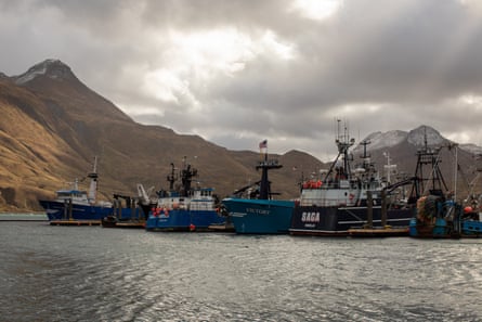 docked boats