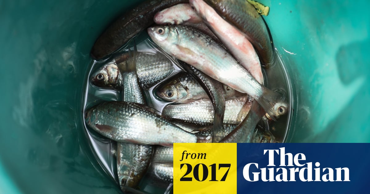Thai Doctor Fights Against Carcinogenic Raw Fish Dish That Killed