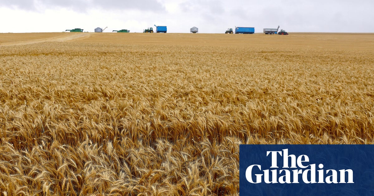 Paraquat will continue to be used in Australia despite 70 countries banning weedkiller over Parkinson’s disease fears