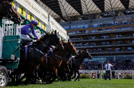 Horses leaving the stalls at a sunny Royal Ascot this week.