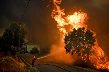 Firefighter spraying water at a burning tree.