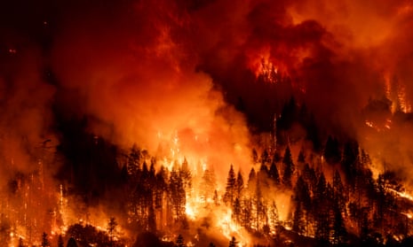 Case header background