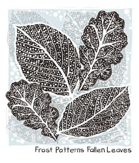 Frost patterns fallen leaves illustration