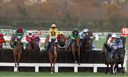 knock cheltenham racingfotos rex