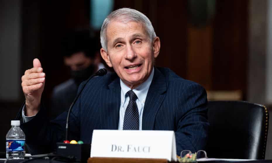 Dr Anthony Fauci, Joe Biden’s top medical adviser, said: ‘my job has been totally focused on doing what I can … to make scientific advances to protect the health of the American public.’