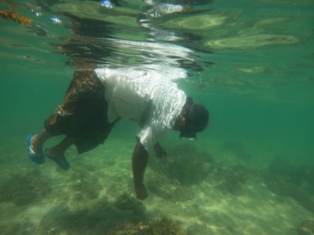 A female seaweed collector in the Gulf of Mannar