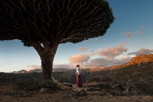 A human figure standing beneath a tree