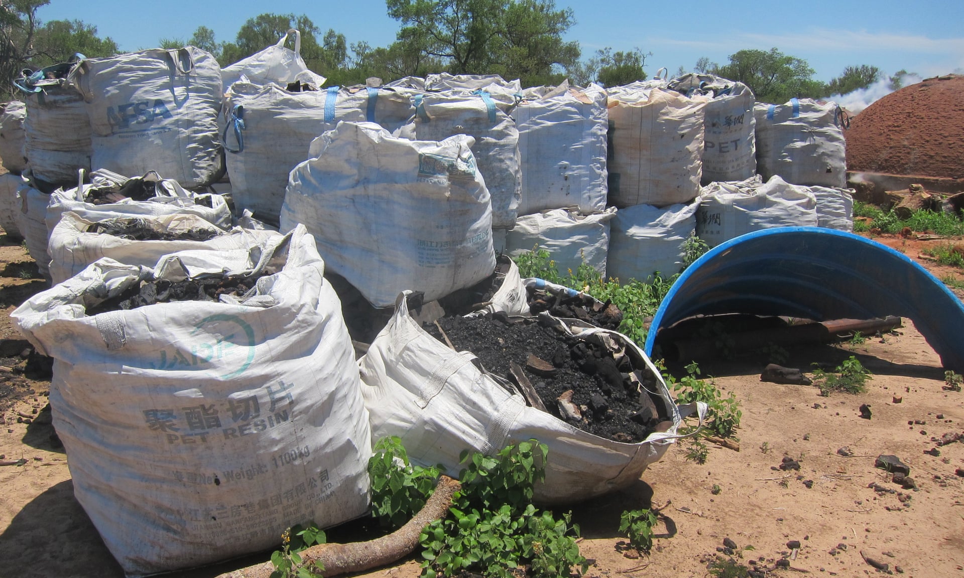 Bags of charcoal made from clearing Paraguay’s Chaco forest. Photograph: Earthsight