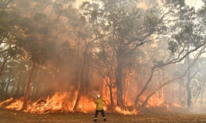 This photo taken on December 10, 2019 shows a firefighter conducting back-burning measures to secure residential areas from encroaching bushfires in the Central Coast