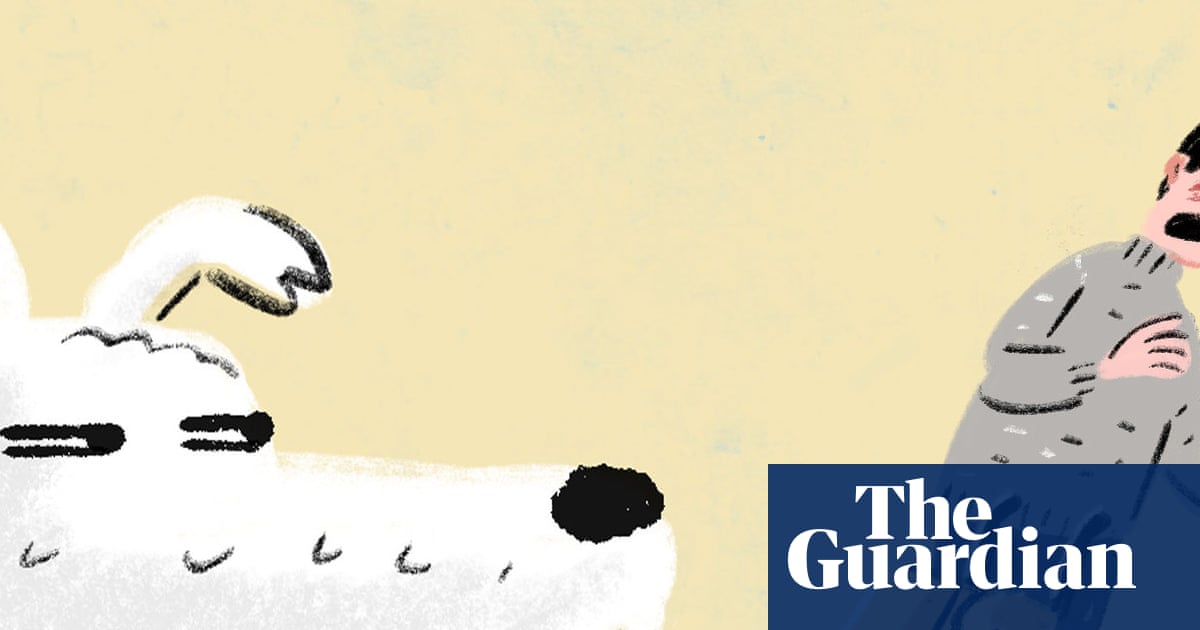 My predictions for 2026, by Darren the dog: the Stephen Collins cartoon