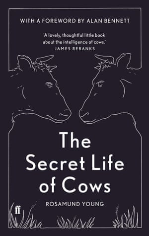 The Secret Life of Cows
