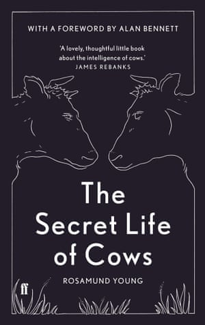 The Secret Life of Cows 