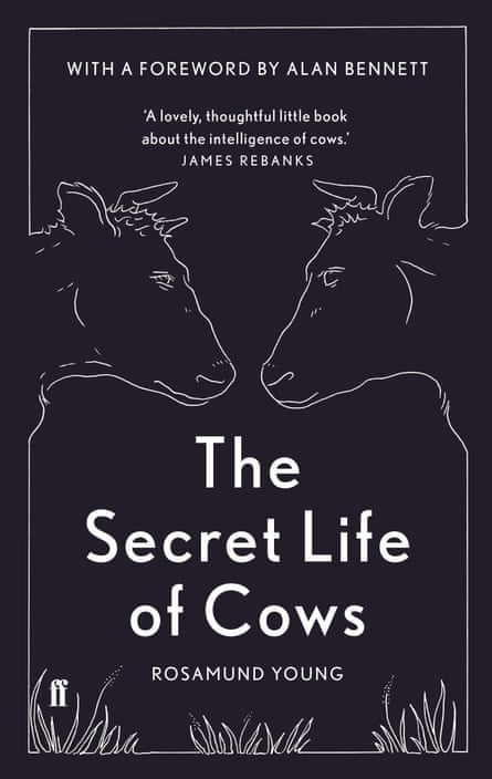 The Secret Life of Cows 