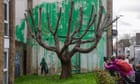 The crowds flocking to Banksy’s latest work are missing the point: the damaged tree at its heart | Gio Iozzi