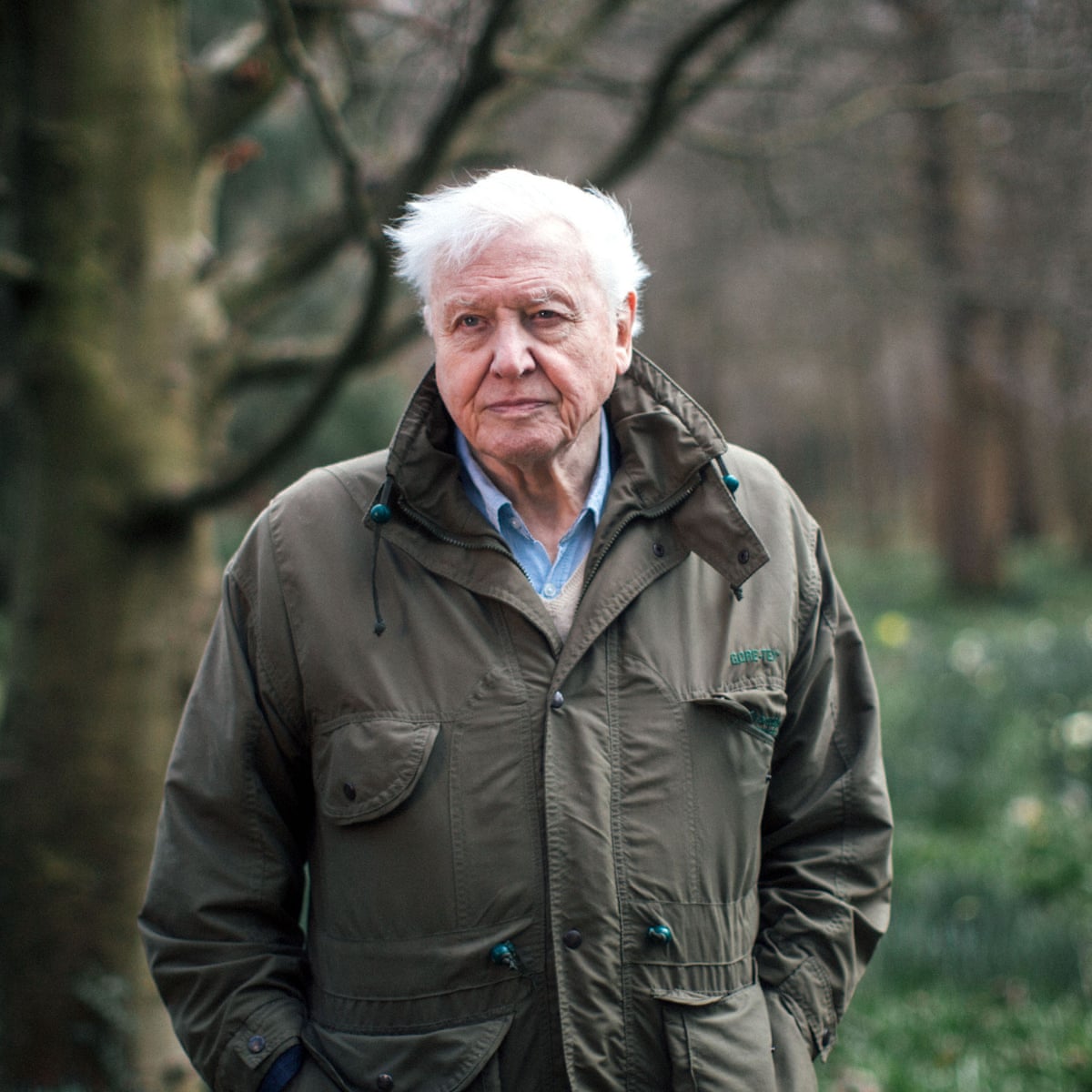 David attenborough film glasgow