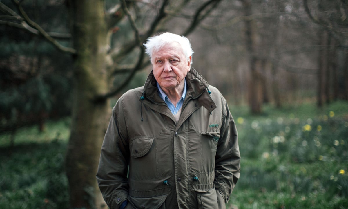 I worked on David Attenborough's documentary. The grim reality gave me climate anxiety | Liv Grant | The Guardian