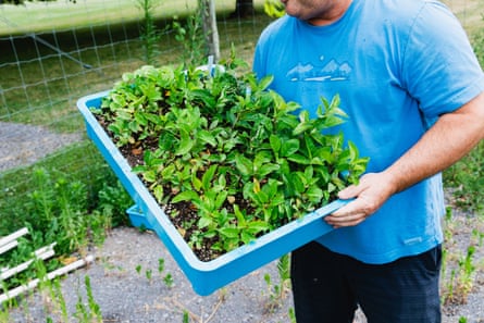 a person holding a tray of plants