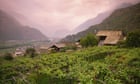 Piedmont wines worth taking a chance on | David Williams