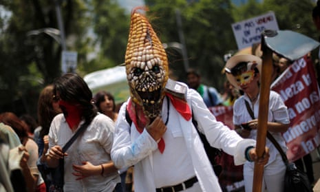 A protester wears a mask in the shape of corn, during a march against Monsanto in Mexico City.