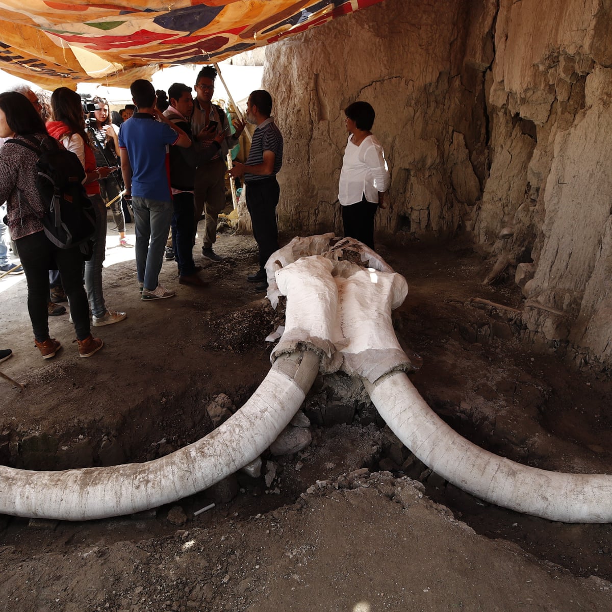 Mexican Mammoth Trap Provides First Evidence Of Prehistoric Hunting Pits World News The Guardian