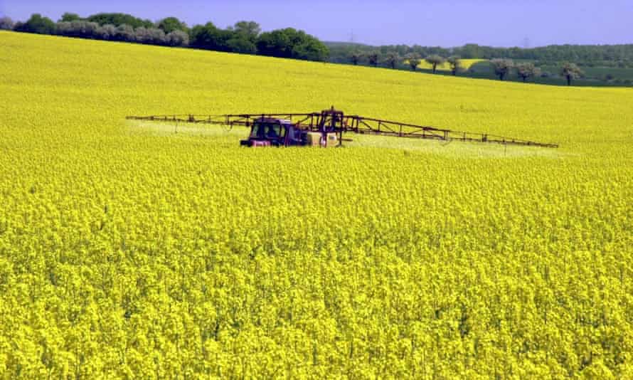 A farmer spraying his rape field near Roederhof with pesticides