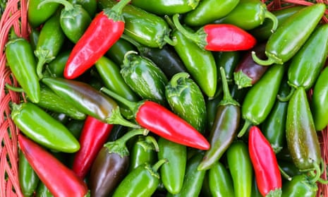 green, red and purple chillis