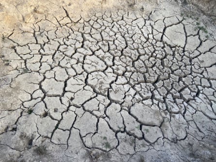 A dry pond bed