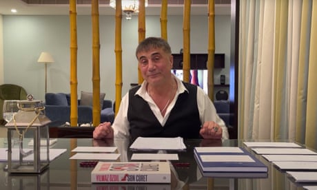 turkey seeks arrest of mafia boss who alleges crimes by erdogan allies recep tayyip erdogan the guardian