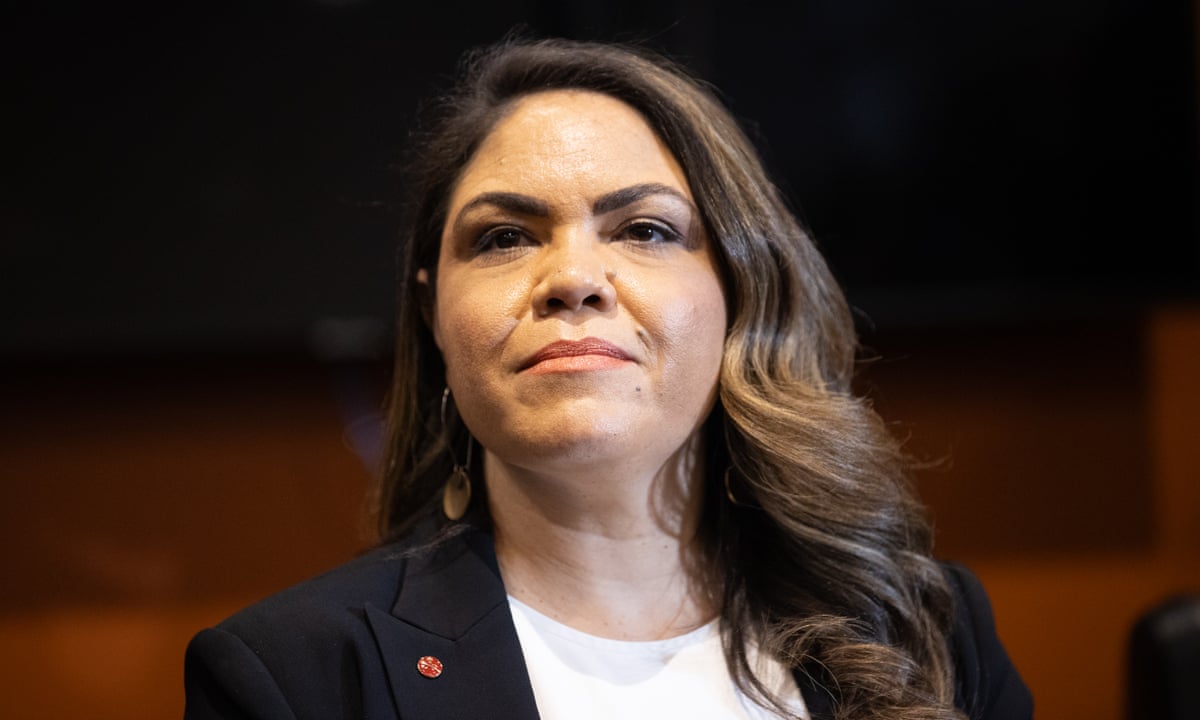 Central Land Council CEO launches defamation case against ...