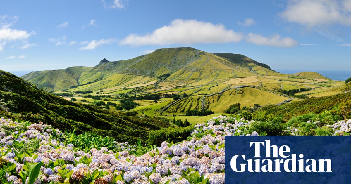 ‘An abundance of blooms’: readers’ best spring flowers in the UK and Europe