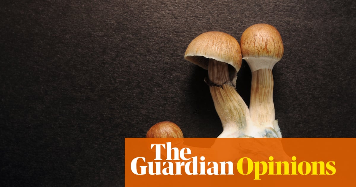 Magic mushroom companies are on the Nasdaq now. That’s a recipe for a bad trip | Ross Ellenhorn and Dimitri Mugianis