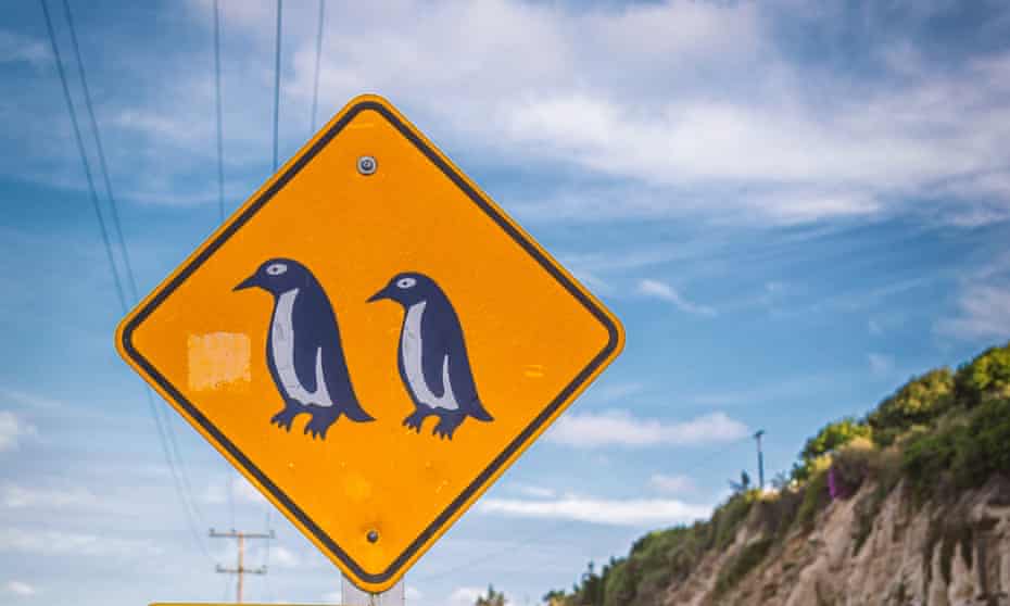 Penguins crossing sign near Blue Penguin colony in Oamaru, New Zealand