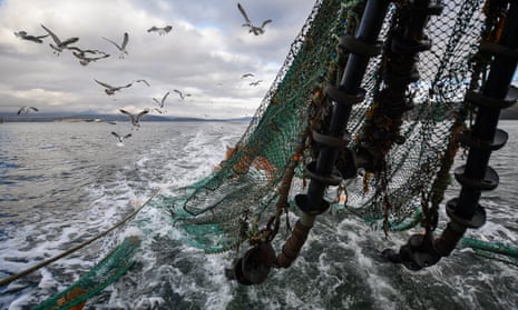 Seagulls follow a prawn trawler in the rough seas in Loch Long, Scotland. 