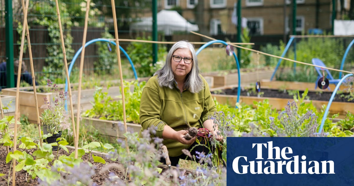 London’s food-growing schemes offer harvest of fruit, veg and friendship