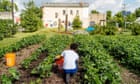 Black-led urban farms are thriving – until they have to fight for their land