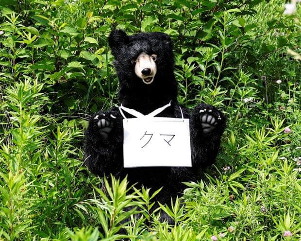 A stuffed bear