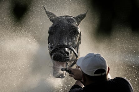 Kentucky Derby entrant Grand Mo The First gets a bath after a workout on Thursday at Churchill Downs in Louisville, Kentucky.