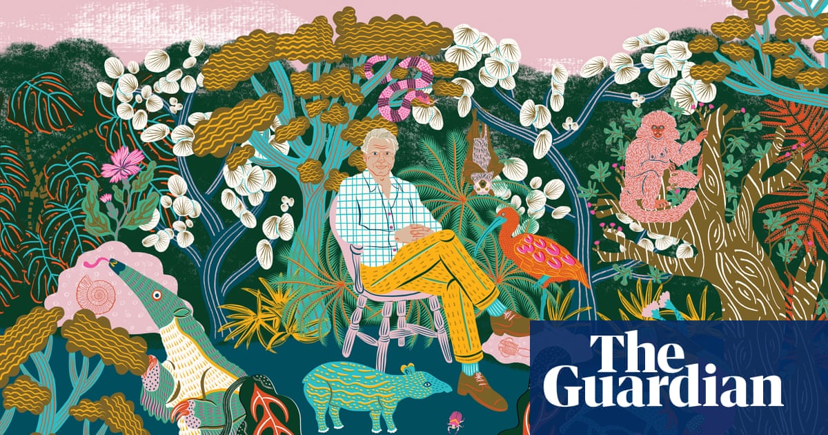 The Real David Attenborough David Attenborough The Guardian