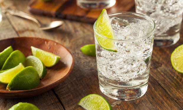 Gin and tonic with lime.