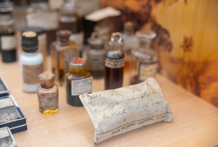 Herbarium specimens on show