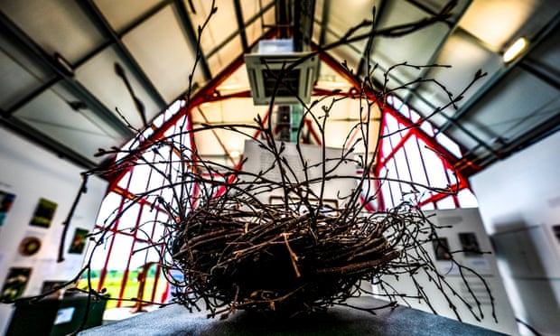 Stowmarket’s Food Museum traces the history of hedgerows.