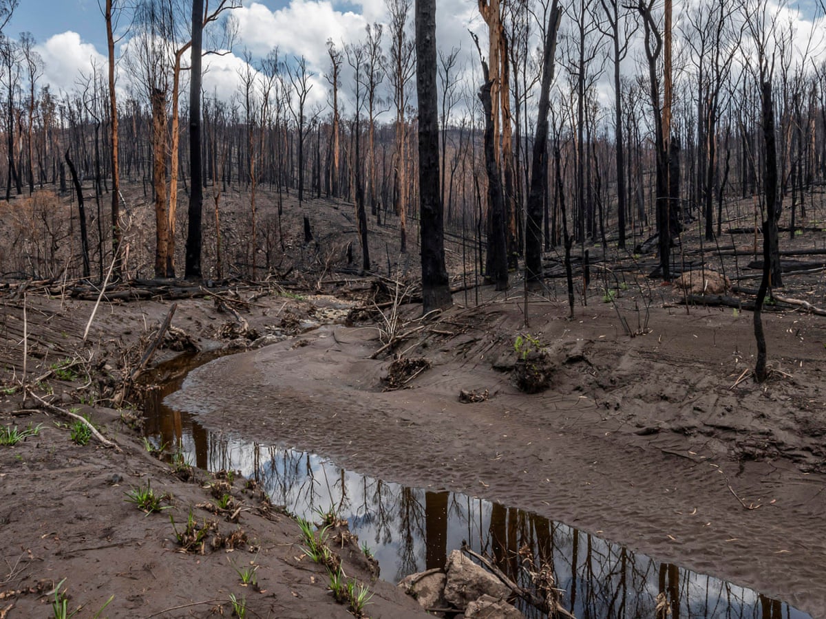 Triple Whammy Drought Fires And Floods Push Australian Rivers Into Crisis Environment The Guardian